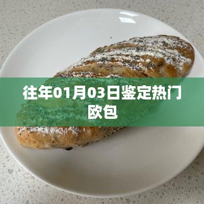『往年元旦后热门欧包鉴定』