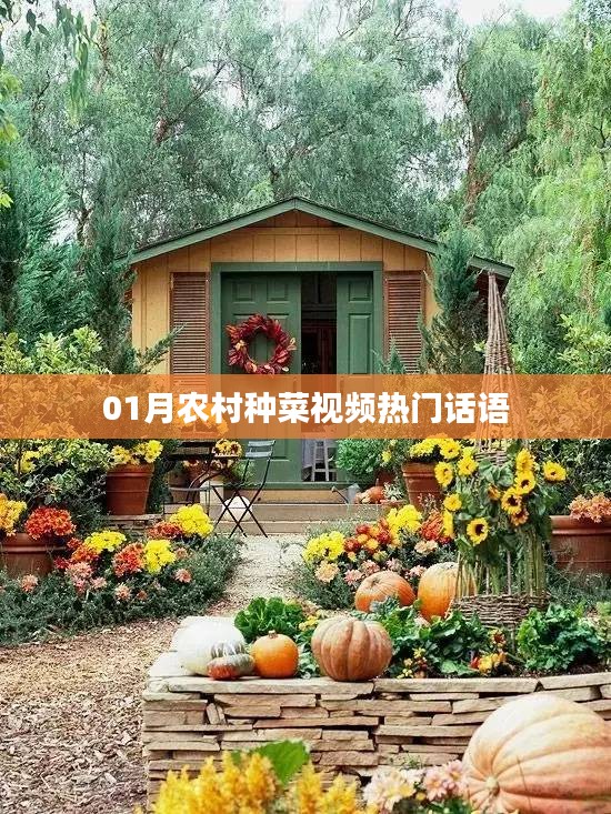 农村种菜视频一月热门语录分享