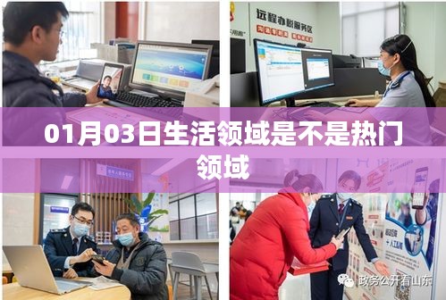 热门领域解析，生活领域在01月03日的关注度