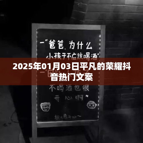 平凡的荣耀，抖音热门文案背后的故事