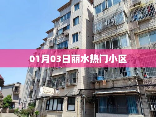 丽水热门小区最新动态 01月03日速递