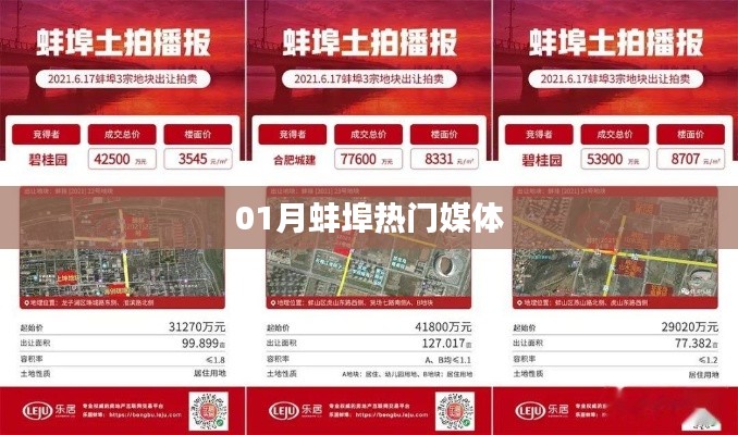 蚌埠媒体热点聚焦一月份动态