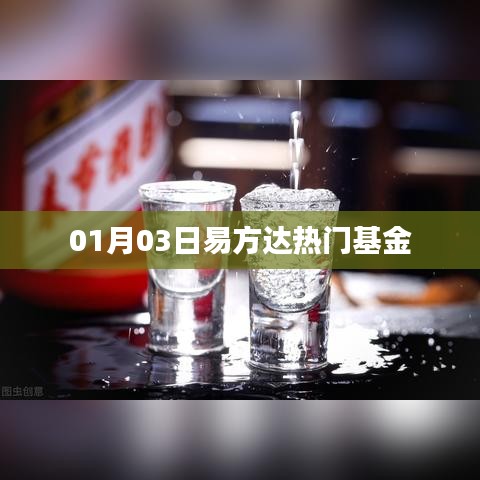 易方达热门基金动态，最新解读与投资建议（日期，01月03日）