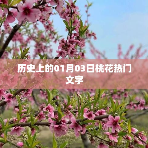 历史上的桃花盛开日，一月三日热门文字回顾