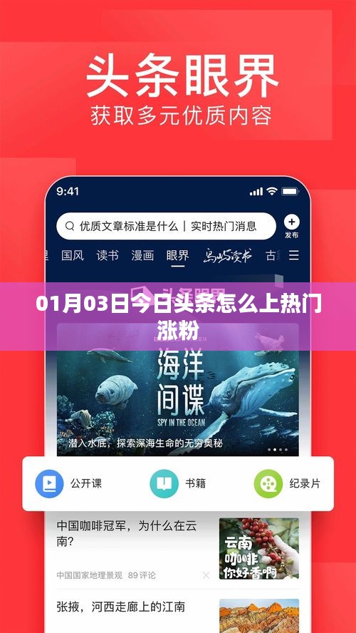 今日头条涨粉攻略，如何上热门吸引粉丝关注