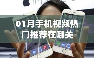 1月热门手机视频推荐及关闭方法详解