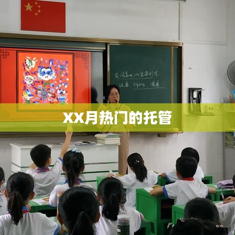 XX月热门托管服务推荐