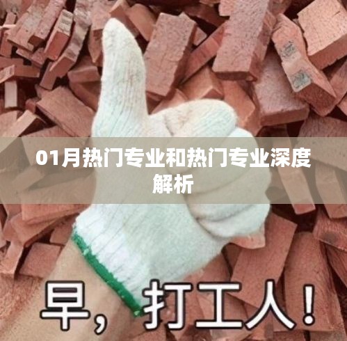 01月热门专业深度解析，洞悉专业趋势