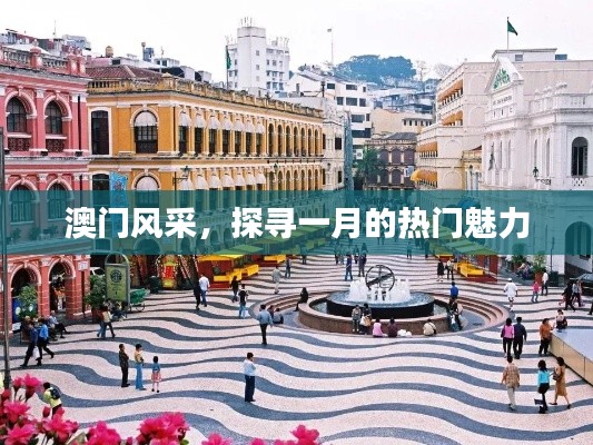 澳门一月魅力风采探寻