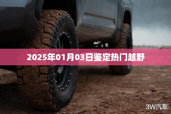 『2025年热门越野车型鉴定』
