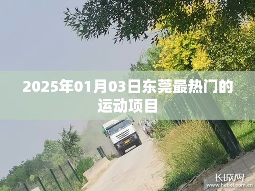 东莞热门运动盘点，探寻2025年最火运动项目