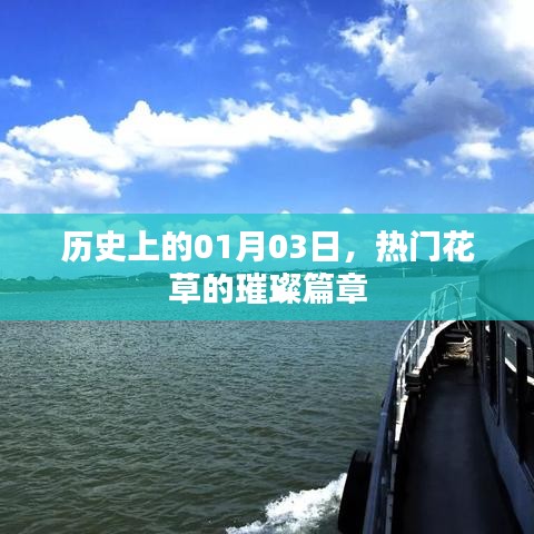 热门花草璀璨篇章，历史上的1月3日