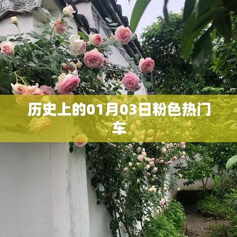 粉色热门车的诞生日，历史上的今天一月三日