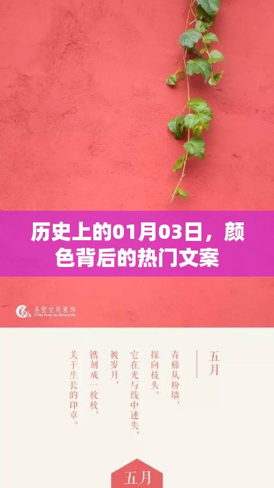 颜色背后的故事，历史上的1月3日热门文案回顾