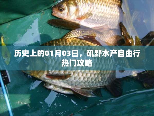 独家矶野水产自由行指南，一月三日热门攻略