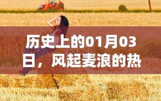 风起麦浪时刻，历史上的1月3日