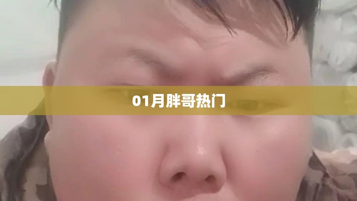 胖哥一月热门看点