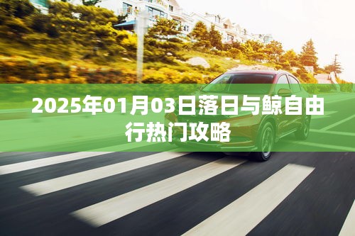 2025年落日与鲸自由行指南，热门攻略全解析