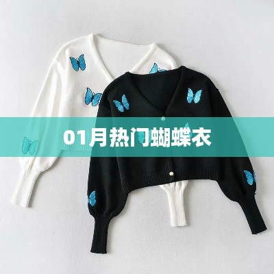 时尚潮流，一月热门蝴蝶衣亮相