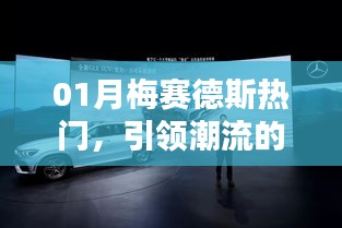 百鸟朝凤 第3页
