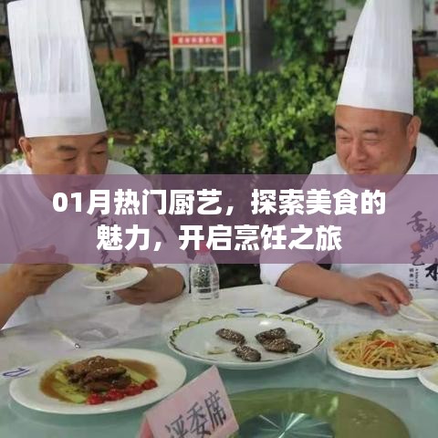 热门厨艺探索，美食魅力与烹饪之旅启航