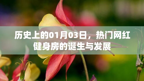 热门网红健身房的诞生与成长历程，历史回顾与未来展望