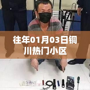 铜川热门小区历年元旦前后动态概览