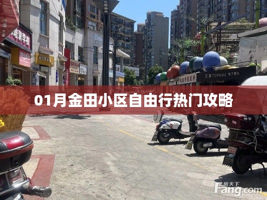 金田小区一月自由行攻略大全