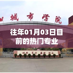热门专业趋势解析，01月03日最新动态