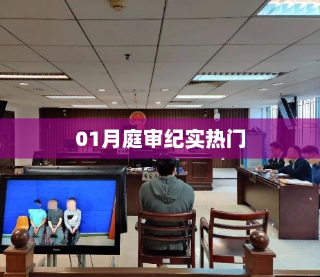 庭审纪实，热门案件深度剖析