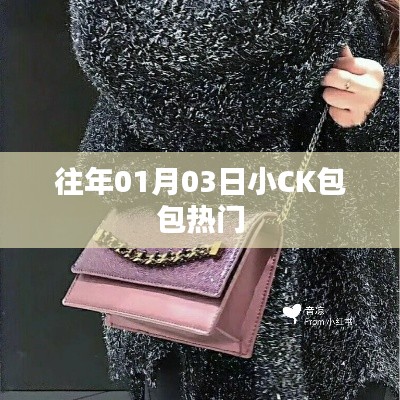 往年1月3日小CK包包风靡时尚界