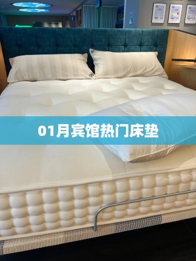 财经 第239页