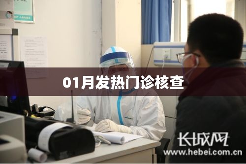 一石二鸟 第2页