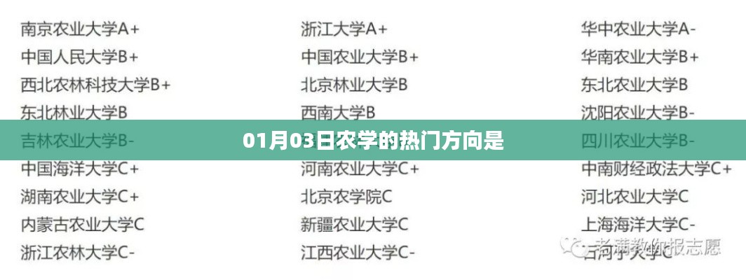 农学热门方向解析，01月03日趋势展望