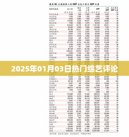 综艺热议，2025年元旦热门节目评论