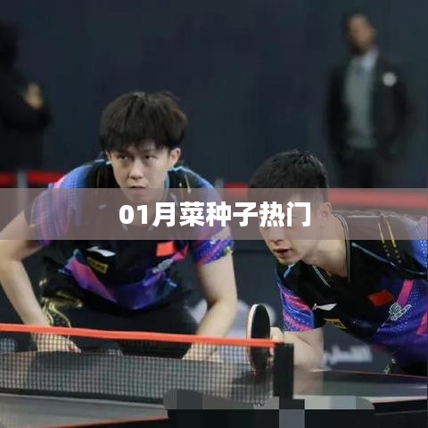 一月菜种子热门选购指南