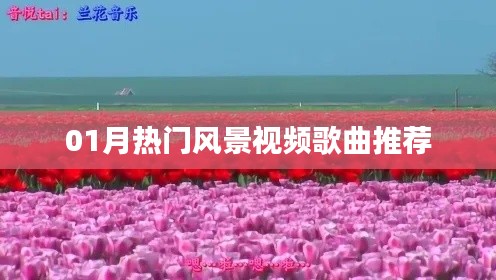 精选风景视频歌曲推荐，一月热门榜单来袭