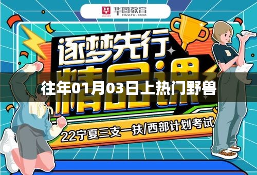 野兽上热门，揭秘历年一月三日事件回顾