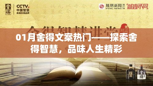 南辕北辙 第3页