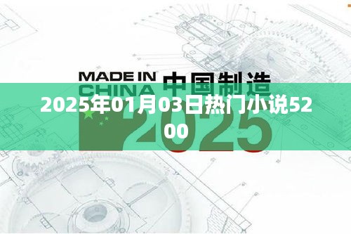 最新热门小说推荐，2025年元旦巨献5200上榜
