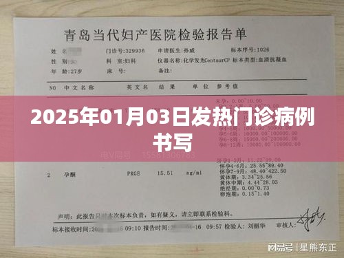 2025年1月3日发热门诊病例记录详解