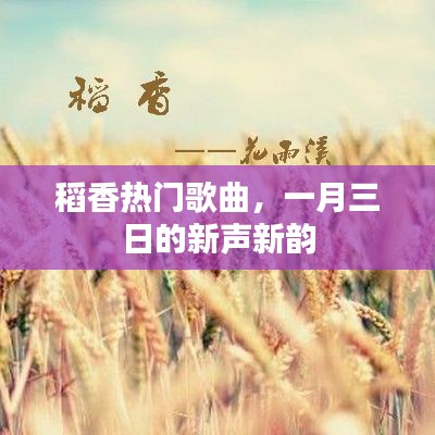 稻香新声新韵，一月三日热门歌曲盘点