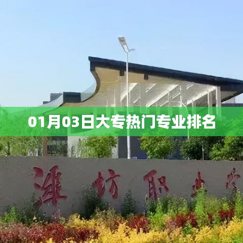 大专热门专业排名榜单揭晓，最新排名趋势（日期更新）