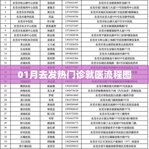 冬季就医指南，发热门诊就医流程图全解析