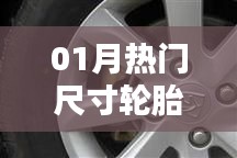 轮胎尺寸热点解析，一月热门轮胎规格全解析