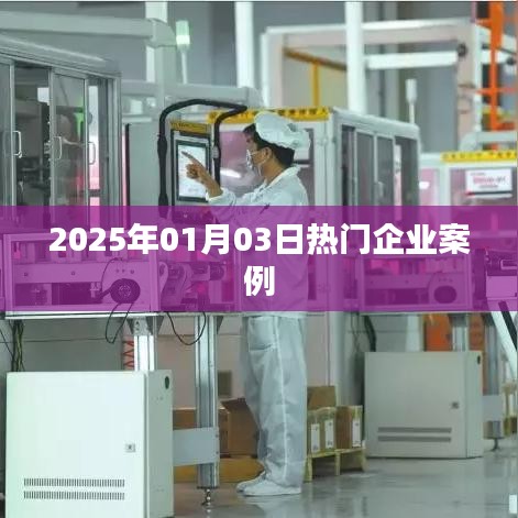 企业案例分享，成功背后的故事（日期，XXXX年XX月XX日）