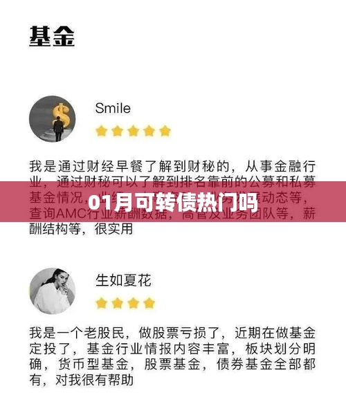 可转债热门趋势解析，一月份市场热度揭秘