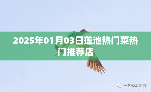 莲池美食推荐，2025年热门菜店大盘点