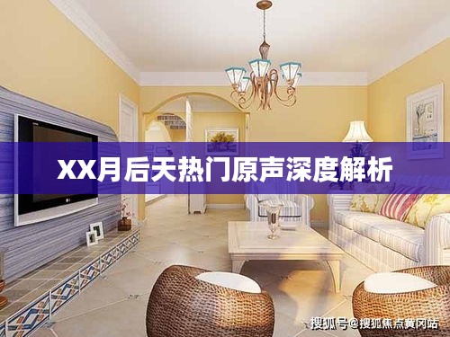 XX月后门热门原声揭秘，深度解析与探讨