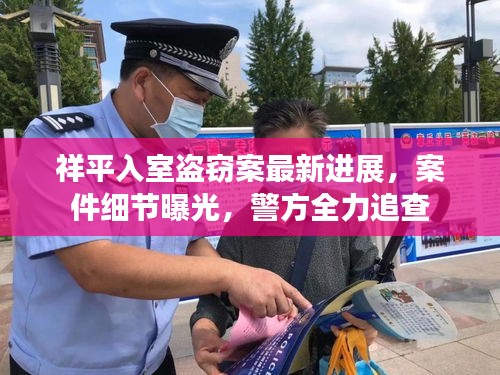 祥平入室盗窃案最新进展，案件细节曝光，警方全力追查